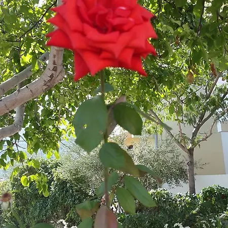 Appartamento Katarina Baška